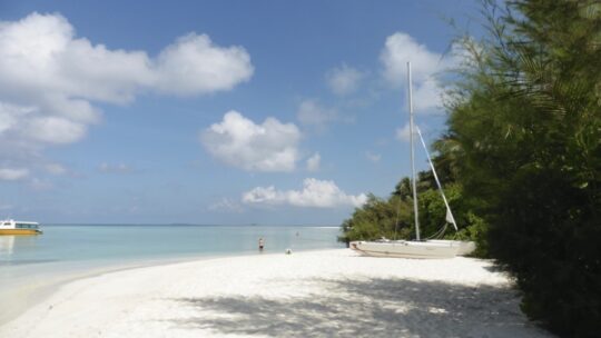 Unsere Reisen bisher…