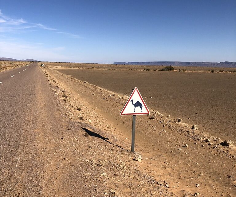 Wir haben eine neue Nummer!!!