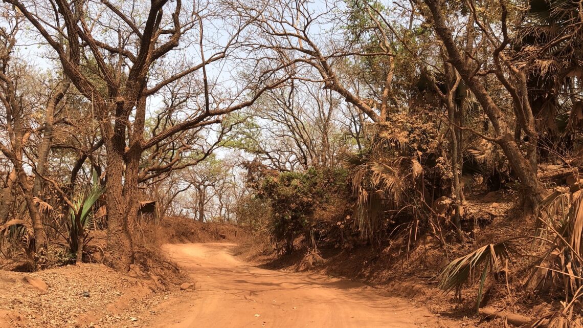 Wir sind in Guinea
