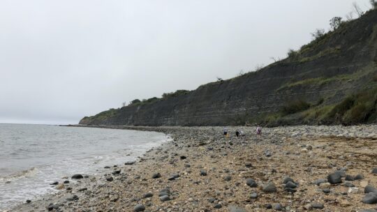 Die Jurassic Coast in Dorset und Devon.
