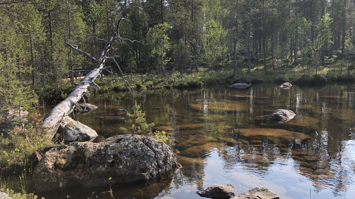 Die letzten Tage in Finnland.
